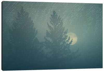 Sunrise In The Fog Canvas Art Print - Evergreen Tree Art