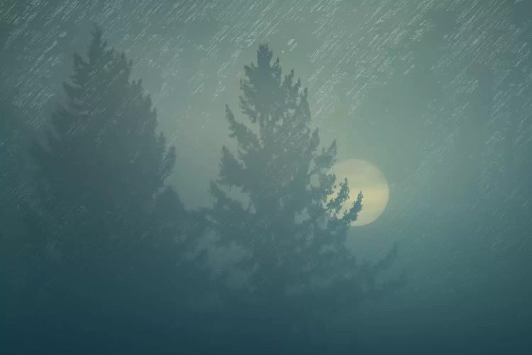 Sunrise In The Fog by Don Schwartz wall art