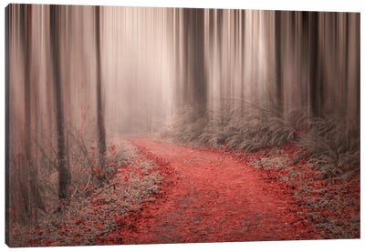 Through The Woods III Canvas Art Print - Mist & Fog Art