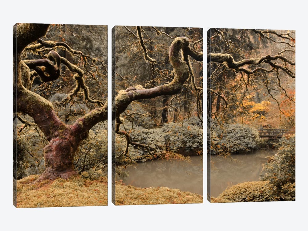 Transcendent Maple by Don Schwartz 3-piece Canvas Art Print