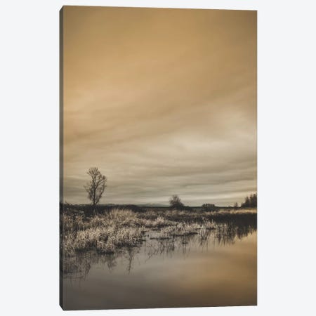 Tree By The Pond Canvas Print #DSC96} by Don Schwartz Canvas Print