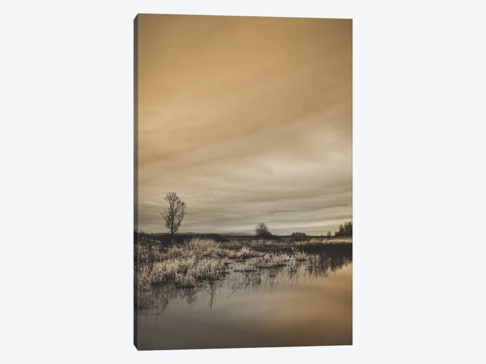 Tree By The Pond by Don Schwartz 1-piece Canvas Art