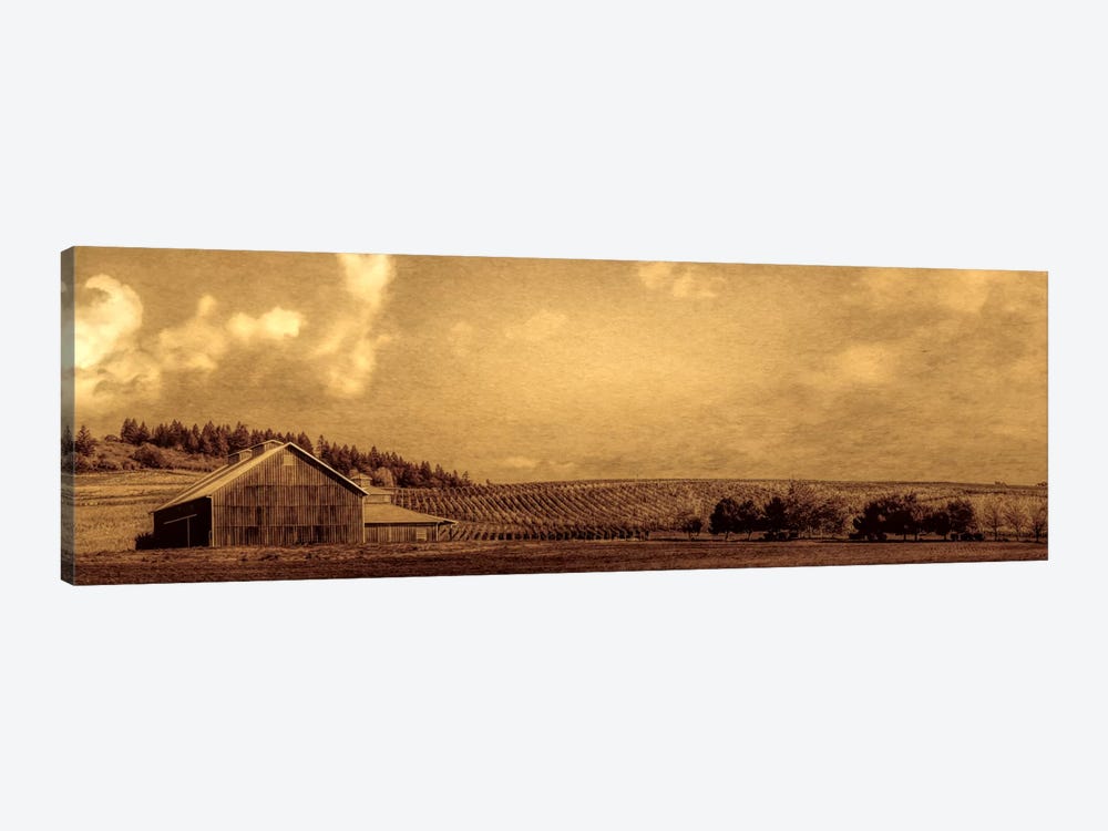 Vineyard Barn by Don Schwartz 1-piece Canvas Art Print