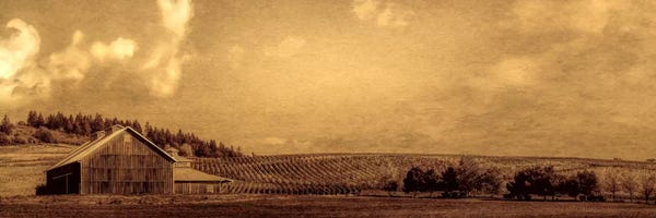 Wine: Vineyard Barn by Don Schwartz