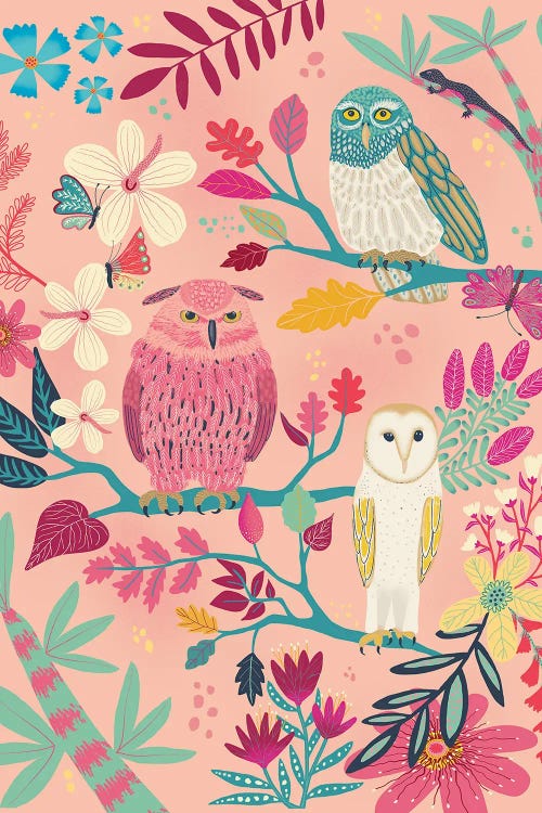 Forest Owls