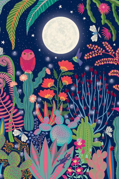 Pink Light Studio: Moon Owl by Darlene Seale