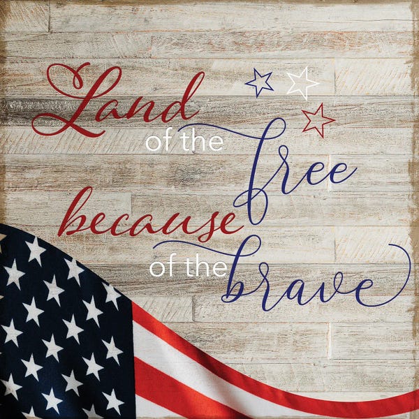 American Décor: Free Because of the Brave by Daniela Santiago