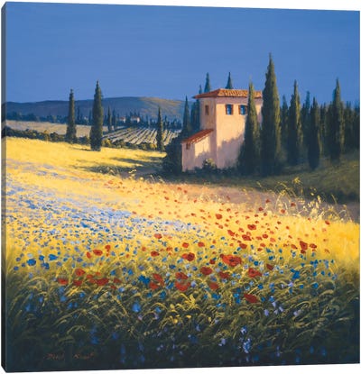 Summer Villa Canvas Art Print