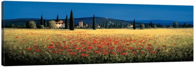 Tuscan Panorama, Poppies Canvas Art Print