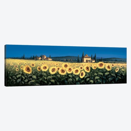 Tuscan Panorama, Sunflowers Canvas Print #DSH20} by David Short Canvas Art