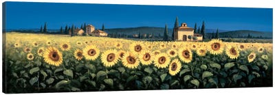 Tuscan Panorama, Sunflowers Canvas Art Print - Village & Town Art