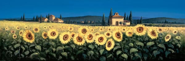 Tuscany: Tuscan Panorama, Sunflowers by David Short