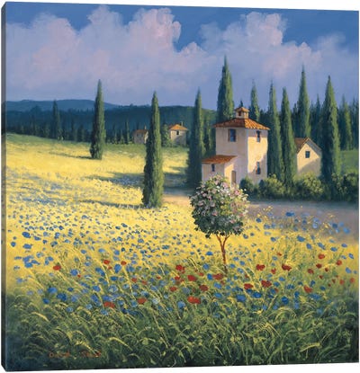 Tuscan Poppies I Canvas Art Print