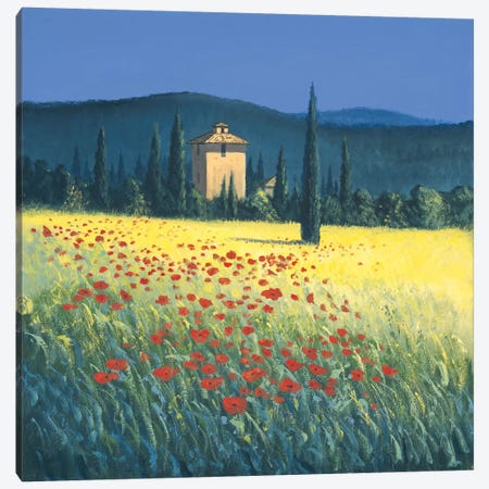 Tuscan Poppies II Canvas Print #DSH22} by David Short Canvas Artwork