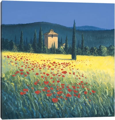 Tuscan Poppies II Canvas Art Print - Home Staging Dining Room