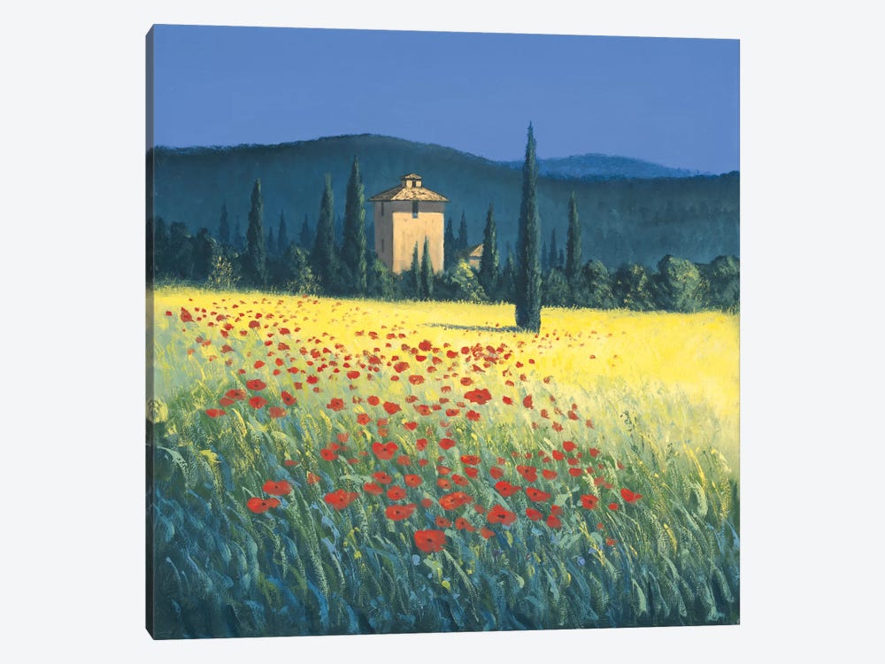 Tuscan Poppies II by David Short 1-piece Canvas Wall Art