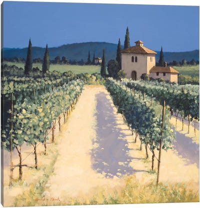 Vineyard Shadows Canvas Art Print - Tuscany Art