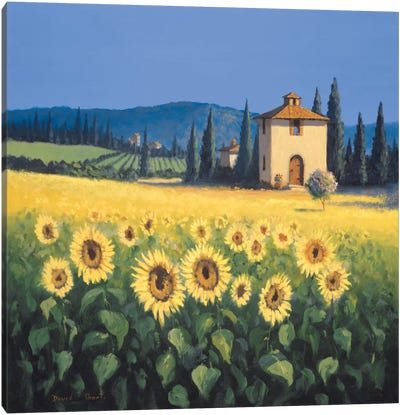 Golden Warmth I Canvas Art Print - Sunflower Art