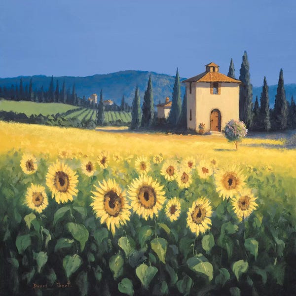 Arches: Golden Warmth I by David Short