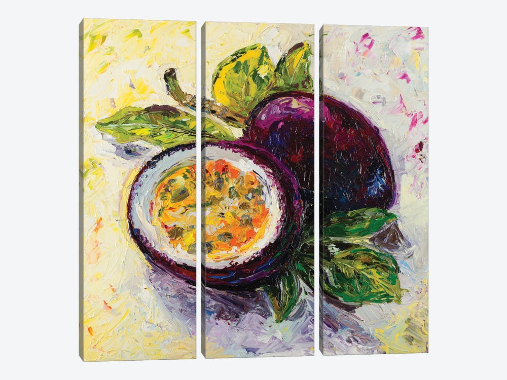 Passion Fruit Flavor by Dana Sorokina 3-piece Canvas Artwork