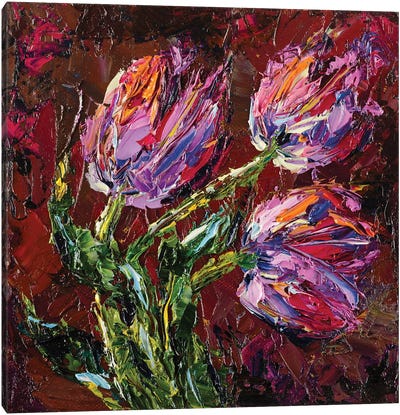 Tulips Canvas Art Print - Dana Sorokina