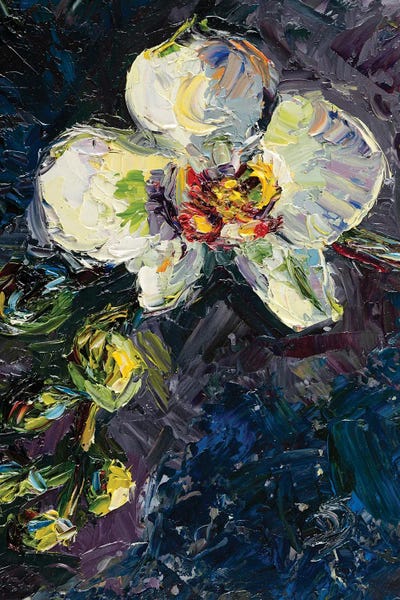 Orchids: Orchids by Dana Sorokina