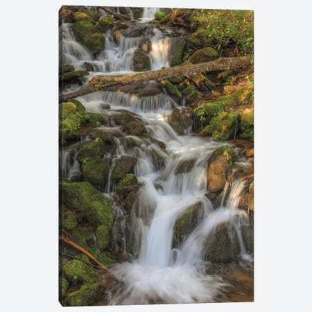 Waterfall Canvas Print #DSP130} by Dan Sproul Canvas Wall Art