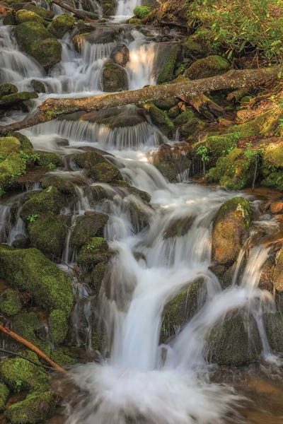 Zen Bedroom: Waterfall by Dan Sproul