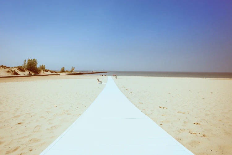 Path To The Beach by Dan Sproul wall art