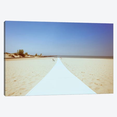 Path To The Beach Canvas Print #DSP131} by Dan Sproul Canvas Wall Art