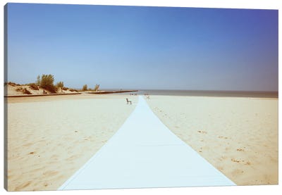 Path To The Beach Canvas Art Print - Dan Sproul