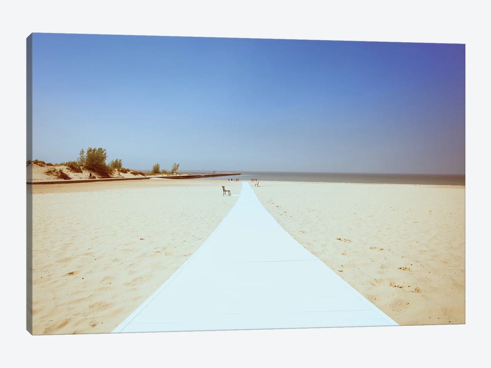 Path To The Beach by Dan Sproul 1-piece Canvas Art