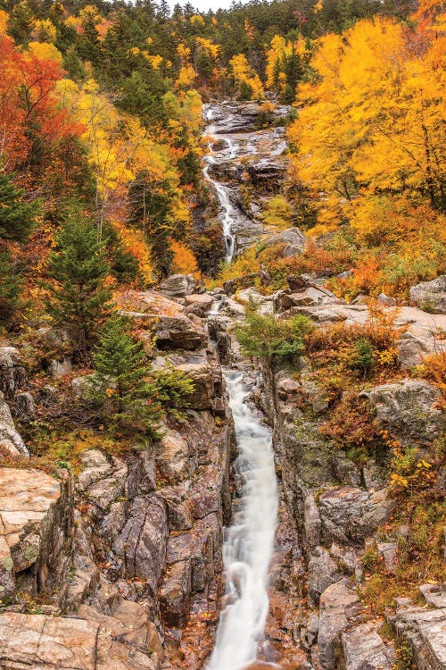 Silver Cascade by Dan Sproul wall art