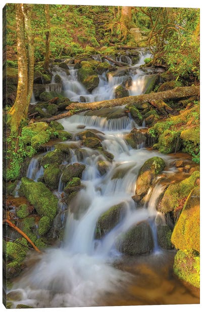 Smoky Mountain Waterfall Canvas Art Print - Great Smoky Mountain Art