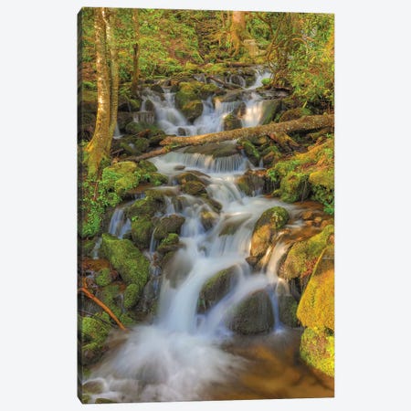Smoky Mountain Waterfall Canvas Print #DSP135} by Dan Sproul Canvas Print