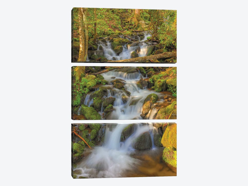 Smoky Mountain Waterfall by Dan Sproul 3-piece Canvas Artwork