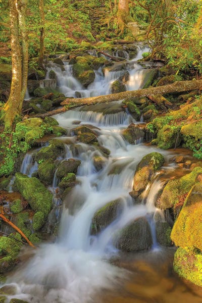 Appalachian Mountains: Smoky Mountain Waterfall by Dan Sproul