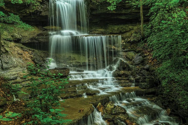 Ontario: Milton Waterfall In Summer by Dan Sproul