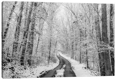 Rural Winter Road Canvas Art Print - Snowscape Art