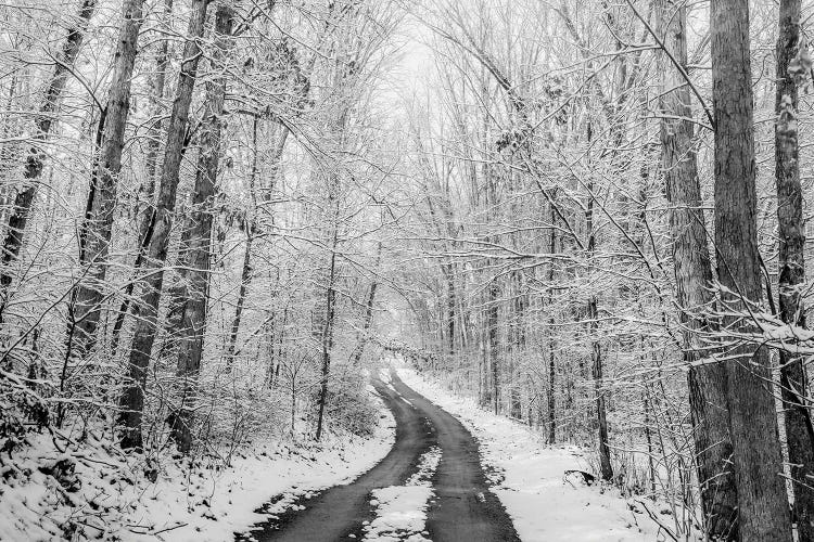 Rural Winter Road