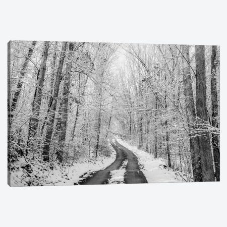 Rural Winter Road Canvas Print #DSP138} by Dan Sproul Canvas Wall Art