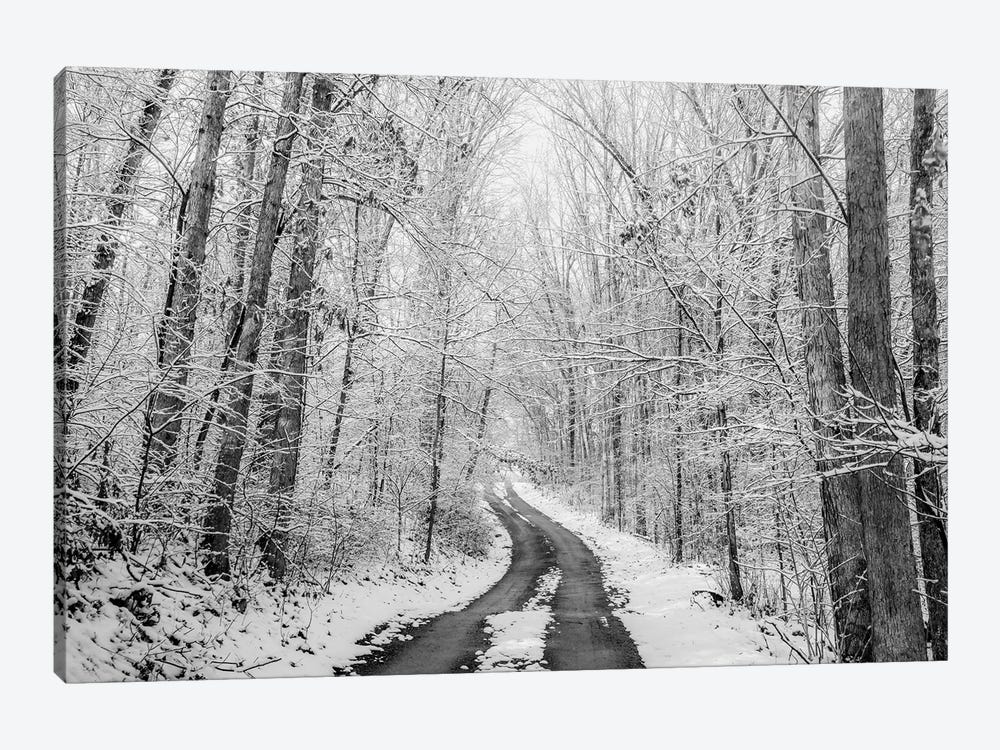 Rural Winter Road by Dan Sproul 1-piece Canvas Art Print