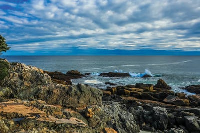 Otter Cliffs Waves by Dan Sproul framed canvas print