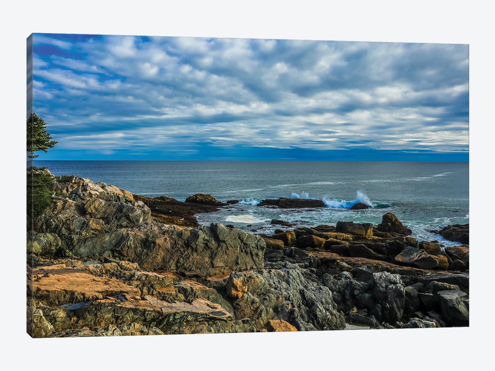 Otter Cliffs Waves by Dan Sproul 1-piece Canvas Artwork