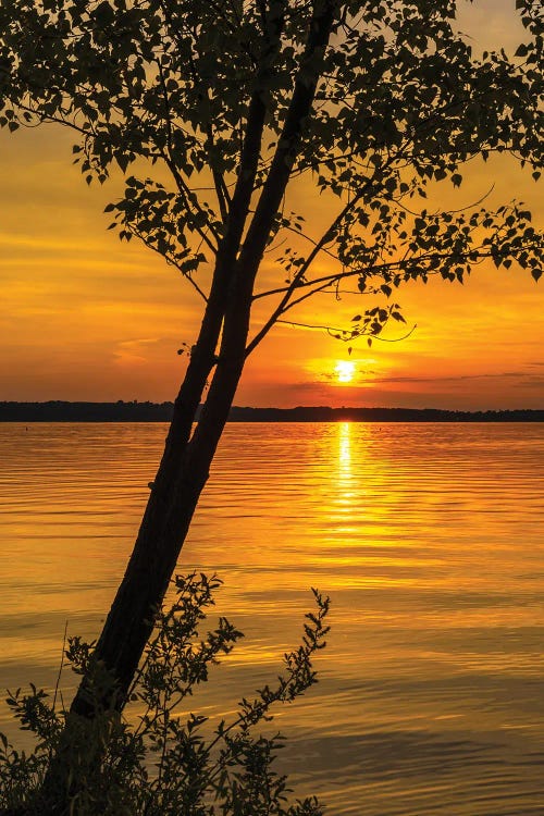 Traverse Bay Sunset