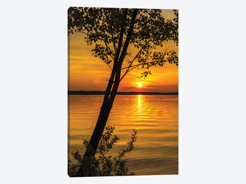 Traverse Bay Sunset by Dan Sproul 1-piece Canvas Art