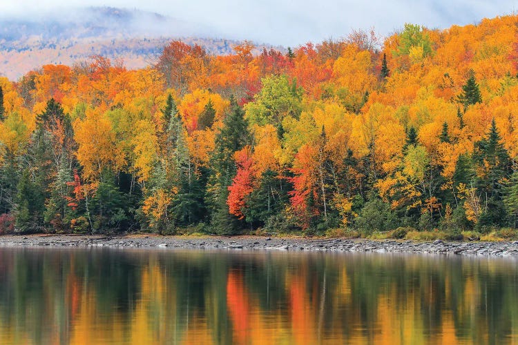 Autumn Reflections