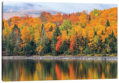 Autumn Reflections Canvas Art Print - Dan Sproul