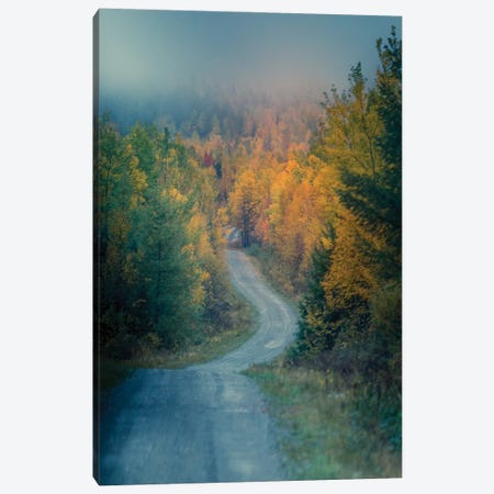 Autumn Logging Road Canvas Print #DSP153} by Dan Sproul Canvas Artwork