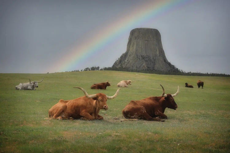 Devils Tower Rainbow by Dan Sproul wall art